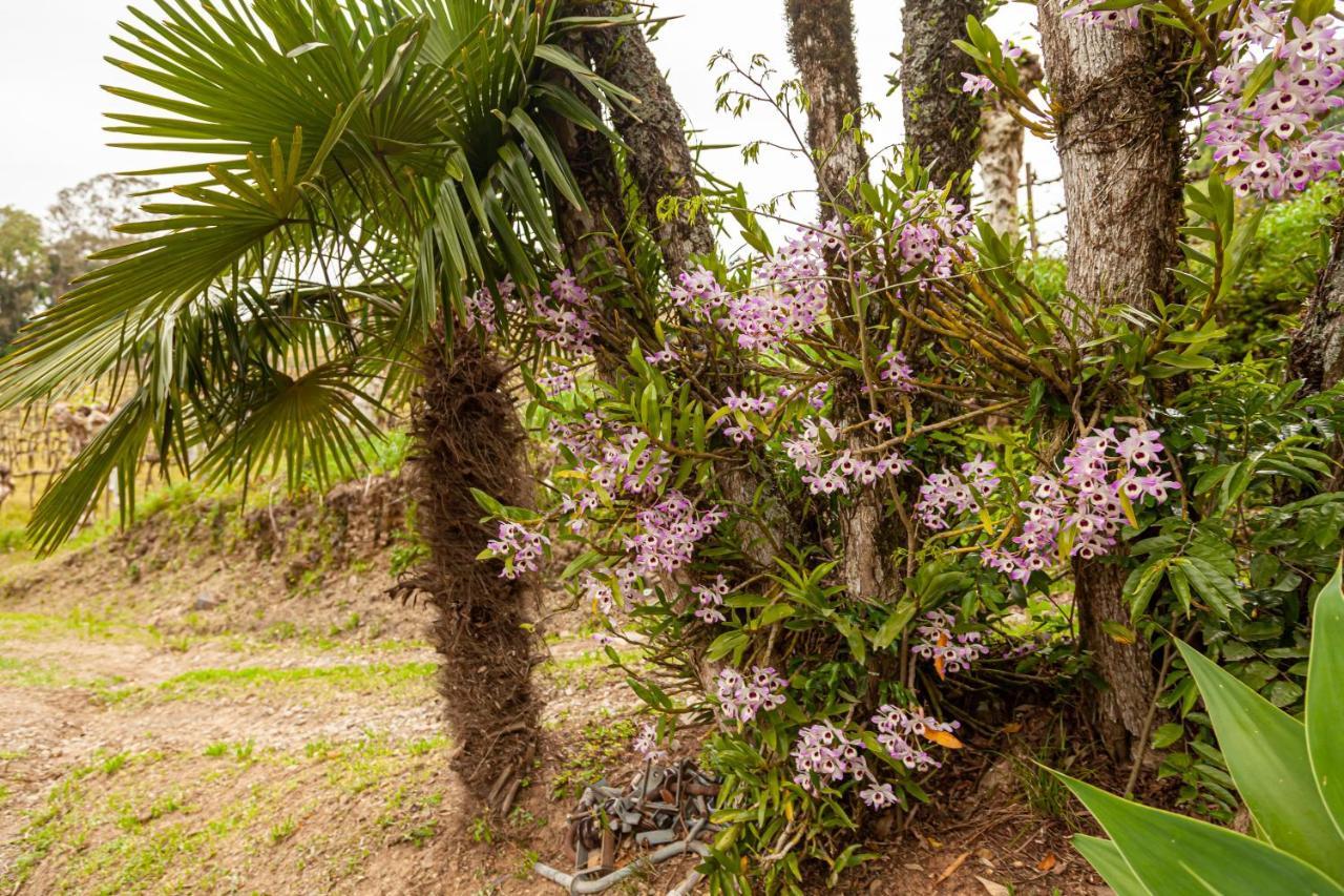 Recanto Dos Vinhedos Bento Goncalves Luaran gambar